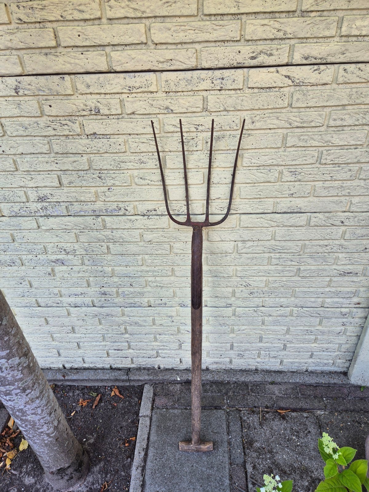 Hooivork - Decoratief tuingereedschap, Tuin en Terras, Hand-tuingereedschap, Ophalen of Verzenden, Gebruikt