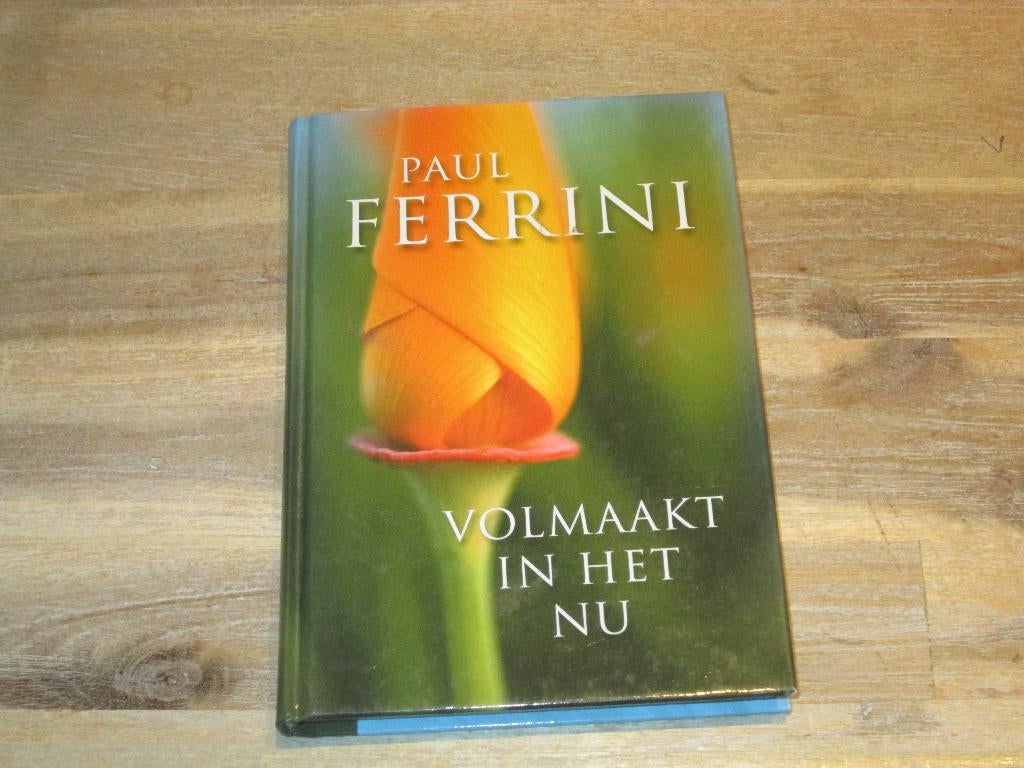 Paul Ferrini volmaakt in het nu, Ophalen of Verzenden, Nieuw, Overige onderwerpen, Achtergrond en Informatie