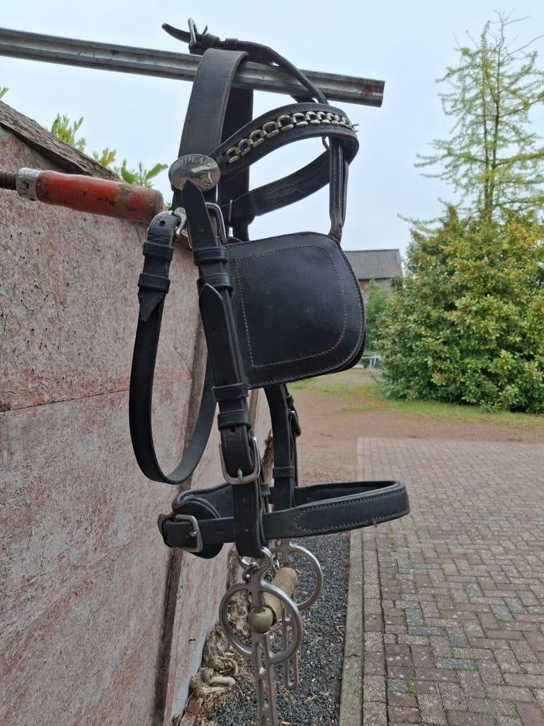 Hoofdstel voor menpaard, Ophalen