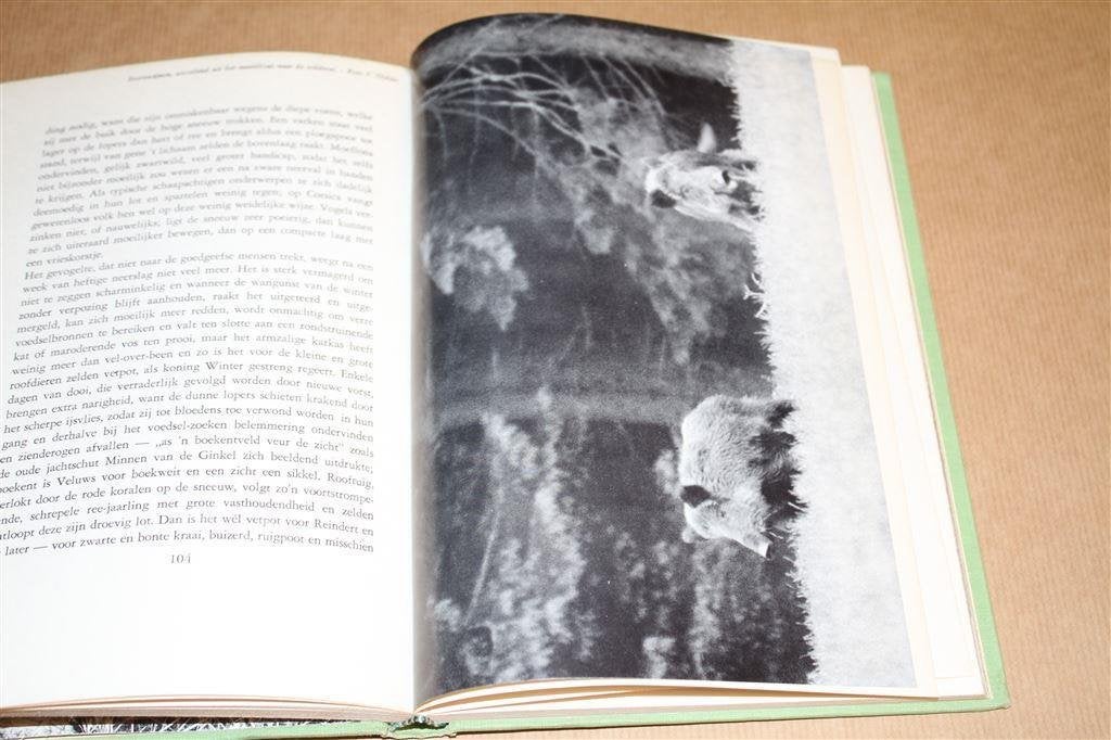 Lokroep van het wild. A.B. Wigman. 1959., Ophalen of Verzenden, Gelezen, Natuur algemeen