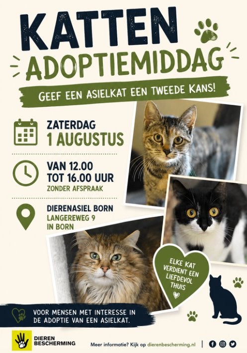 Kattenadoptiemiddag Zaterdag 1 augustus, Dieren en Toebehoren, Meerdere dieren