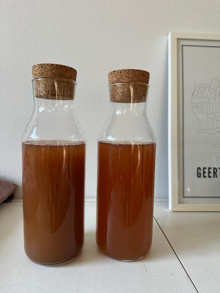 Kombucha starter van zwarte thee, Ophalen