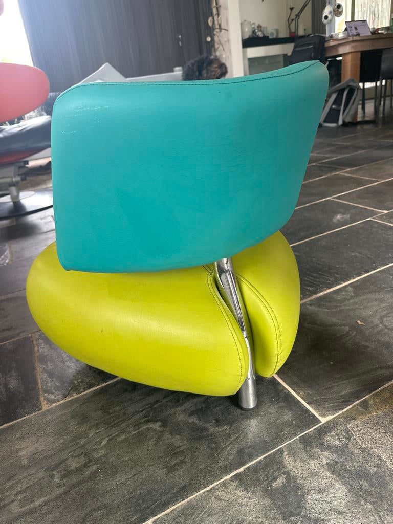 Leolux Pallone Puppy (Lil) skai leder lime/aqua, Ophalen, Gebruikt, Overige kleuren, Leer