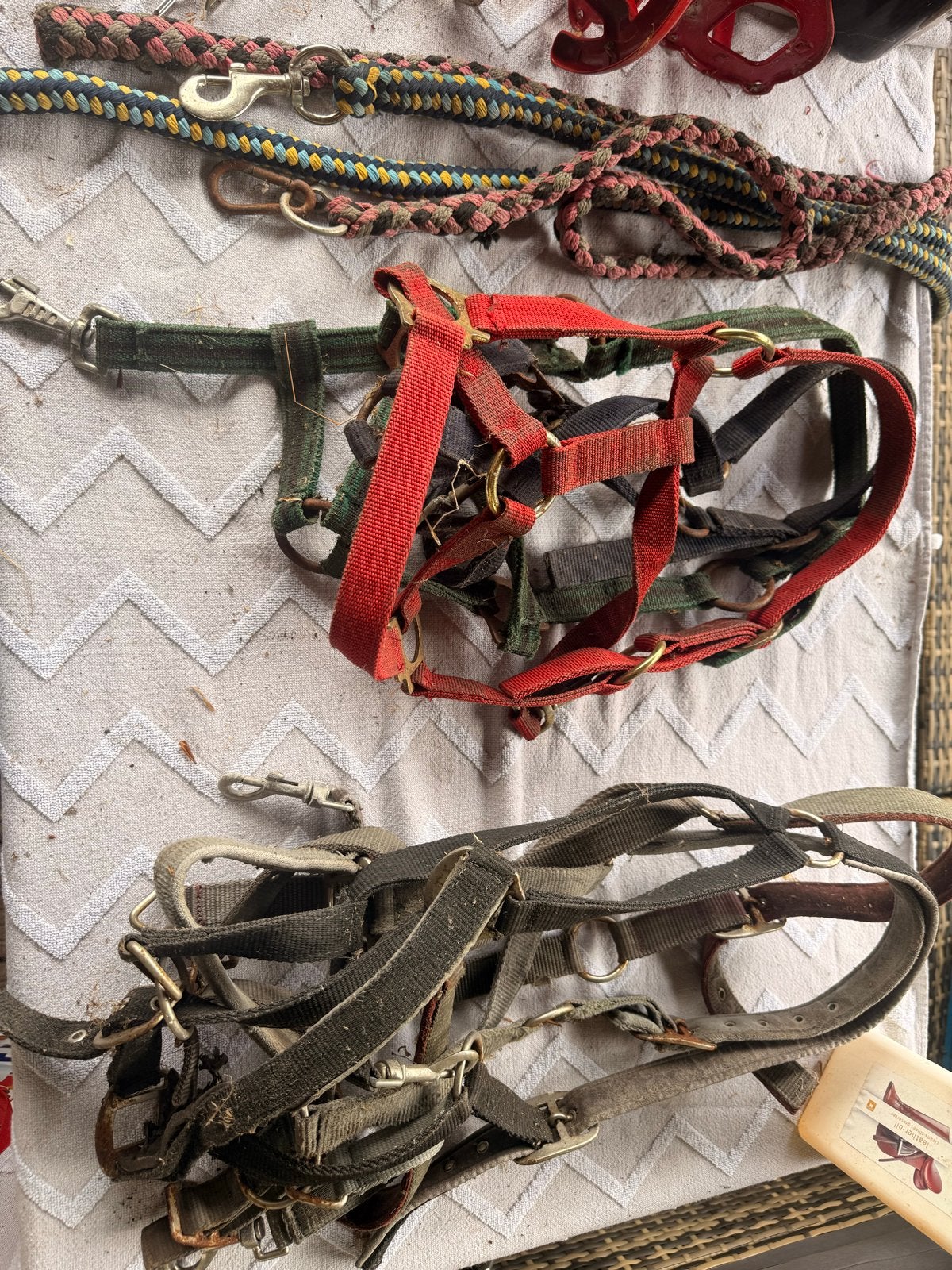 6 paardenhalsters + 2 halstertouwen (Full & Pony), Dieren en Toebehoren, Ophalen
