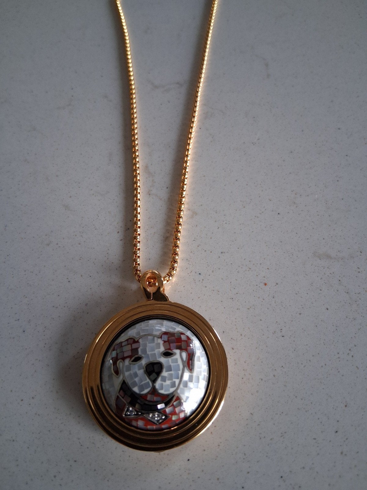 Quoins ketting met hanger, goudkleurig, hondje mozaïek, Sieraden, Tassen en Uiterlijk, Nieuw, Ophalen of Verzenden, Goud, Overige materialen