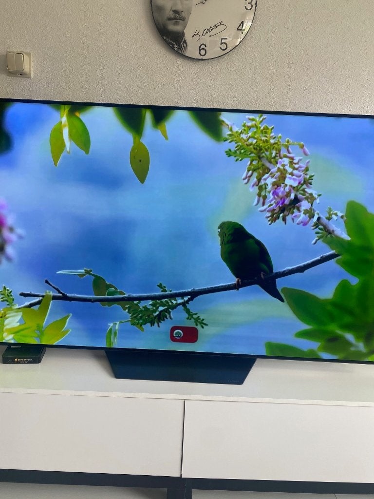 LG OLED65BPLA, Ophalen, Gebruikt, 50 Hz, OLED
