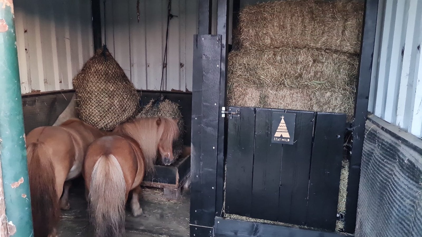 Dijkweide met schuilstal te huur aangeboden, Weidegang