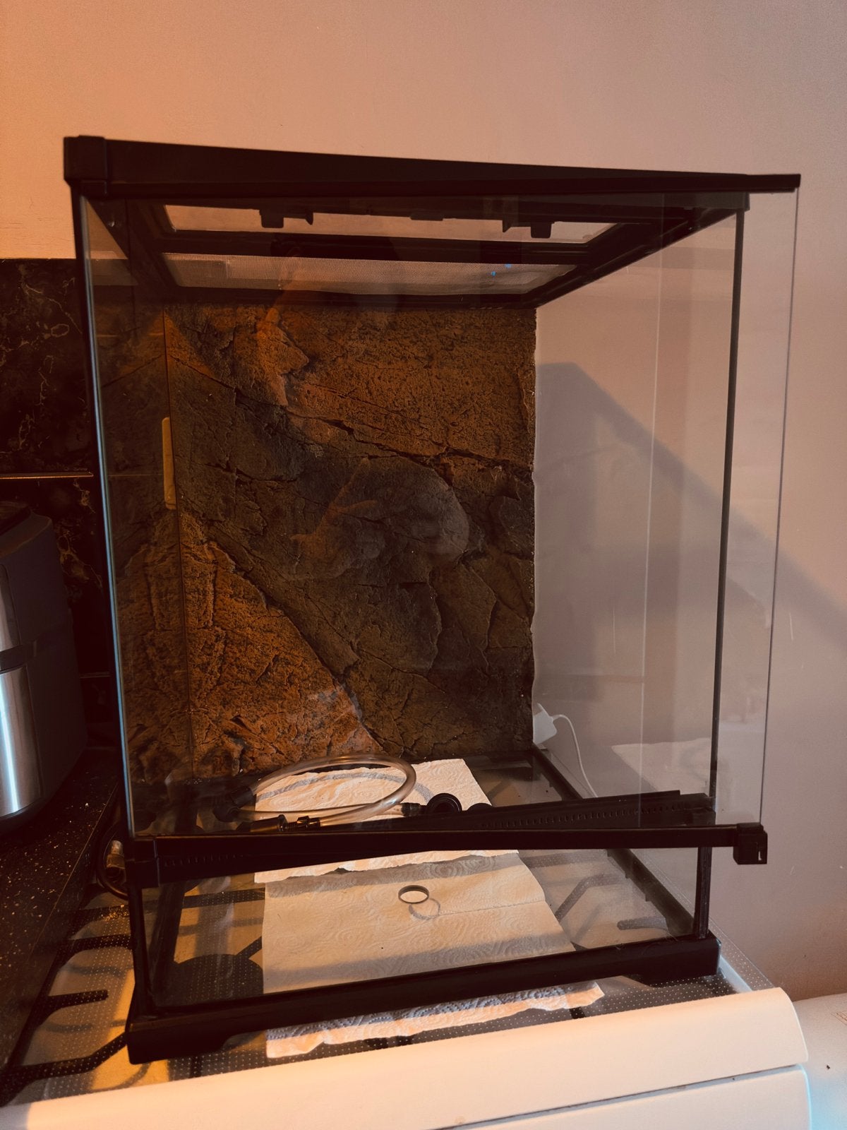 Exo Terra Frog Boomkikker Terrarium 45x45x60 cm, Dieren en Toebehoren, Ophalen, Zo goed als nieuw
