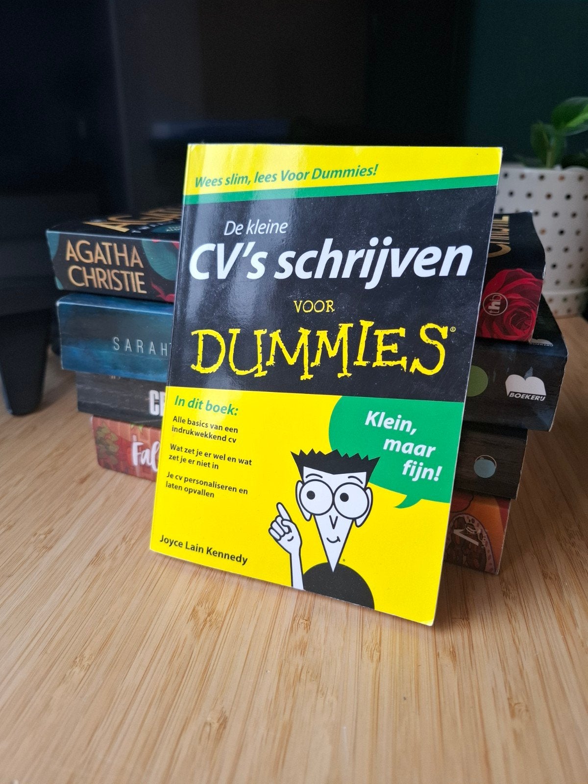 De kleine CV's schrijven voor Dummies, Boeken, Studieboeken en Cursussen, Niet van toepassing, Ophalen of Verzenden, Zo goed als nieuw