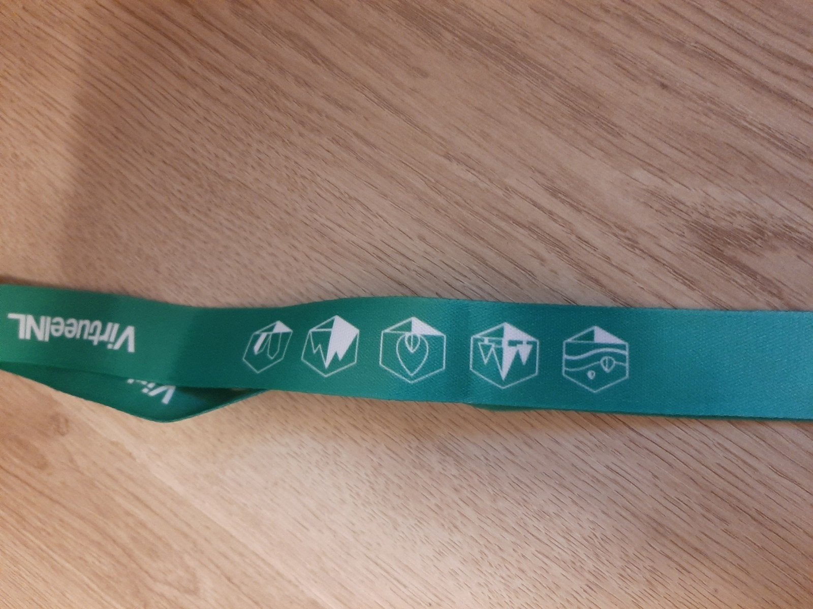 VirtueelNL wandel medaille, Postzegels en Munten, Penningen en Medailles, Ophalen of Verzenden