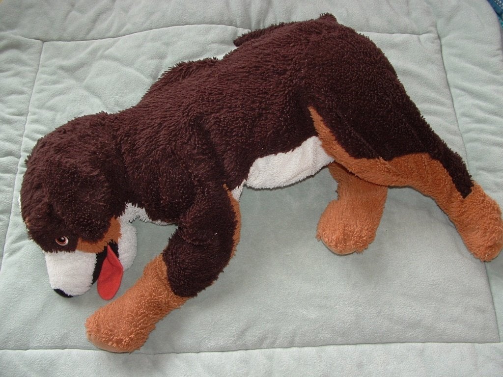IKEA HOND BERNER SENNEN HOPPIG GROTE UITVOERING PLUCHE, Ophalen of Verzenden, Zo goed als nieuw, Hond
