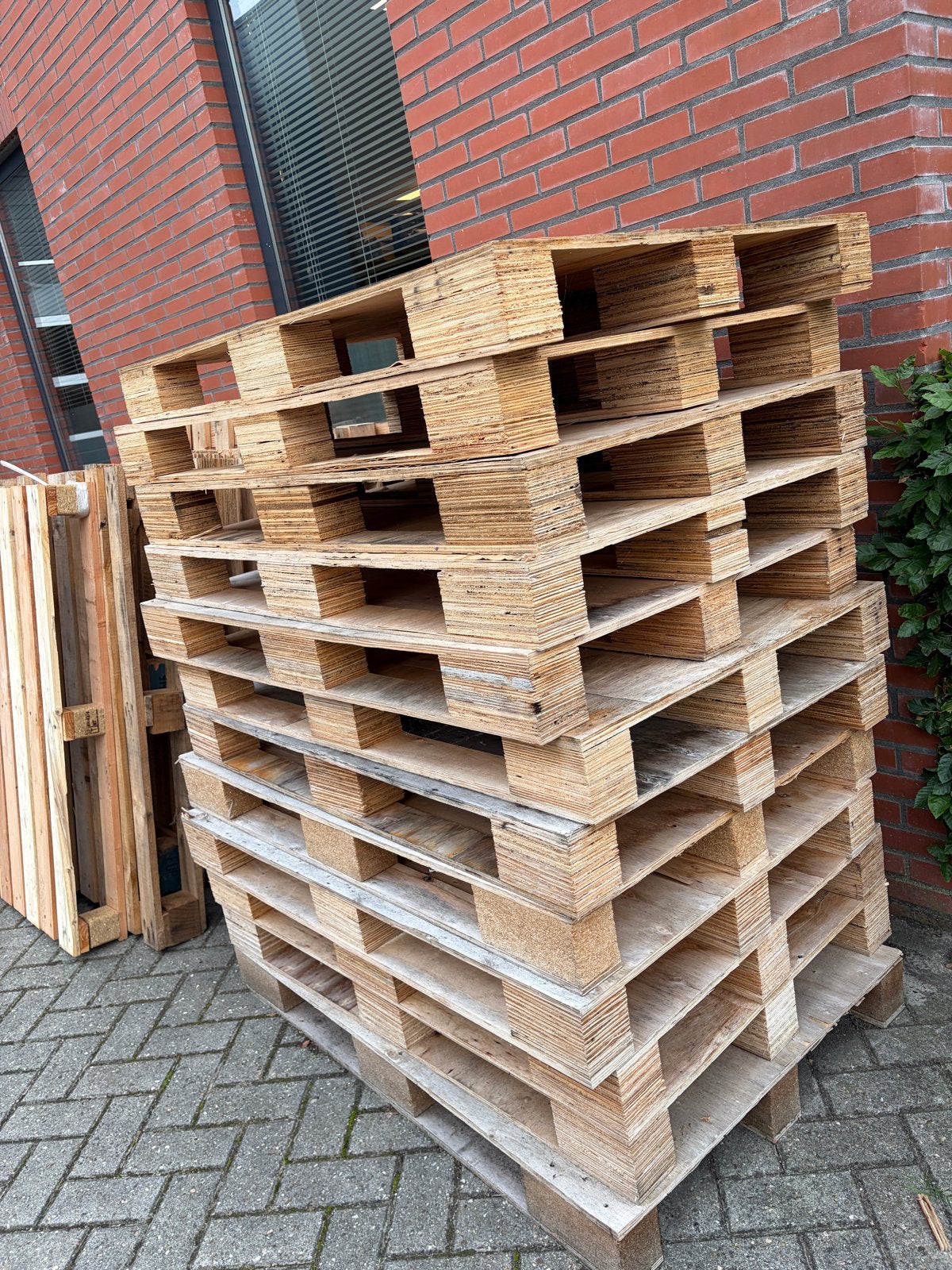 Gebruikte Pallets - Diverse Maten en Houtsoorten, Ophalen, Gebruikt, 250 tot 300 cm, 50 mm of meer
