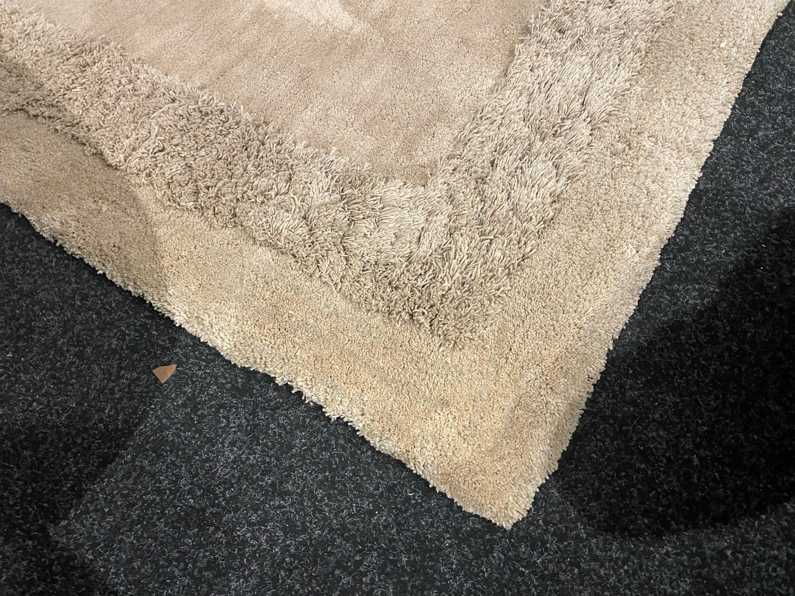 Vloerkleed hoogpolig verkleurd in zon van 469 nu 79, Ophalen, Beige, 150 tot 200 cm, X