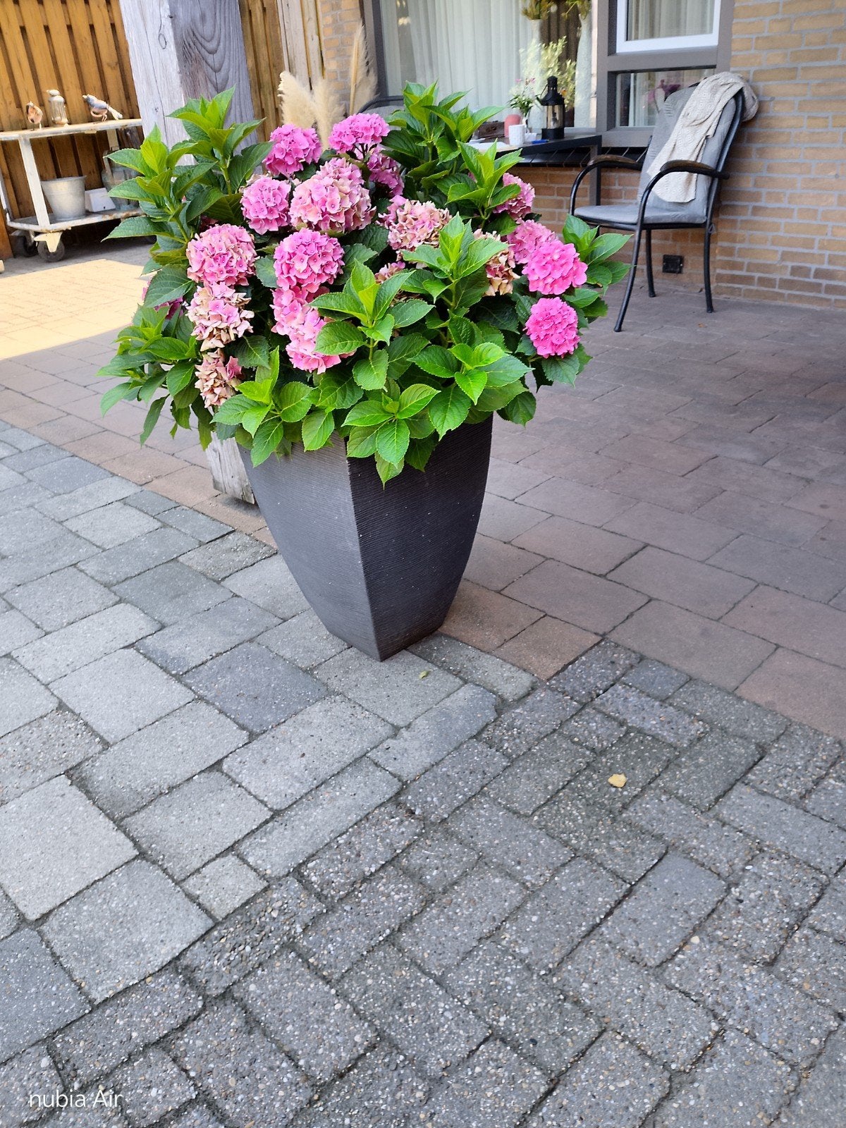 Grote bloempot met hortensia's, Tuin en Terras, Bloembakken en Plantenbakken, Ophalen, Overige materialen, Gebruikt, Minder dan 60 cm