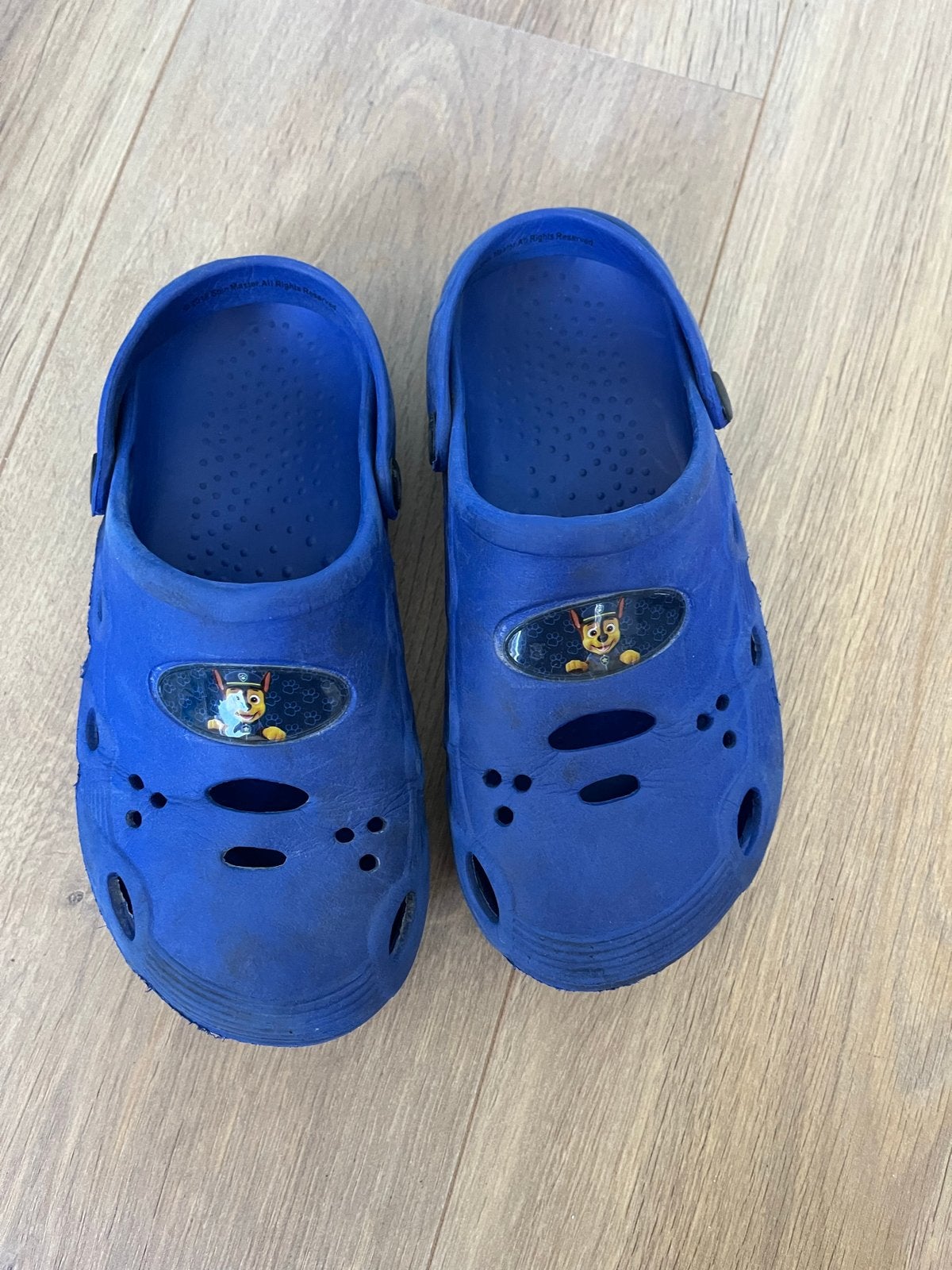 Blauwe Paw Patrol Crocs voor kinderen - Maat 25, Ophalen of Verzenden, Gebruikt, Jongen of Meisje, Schoenen