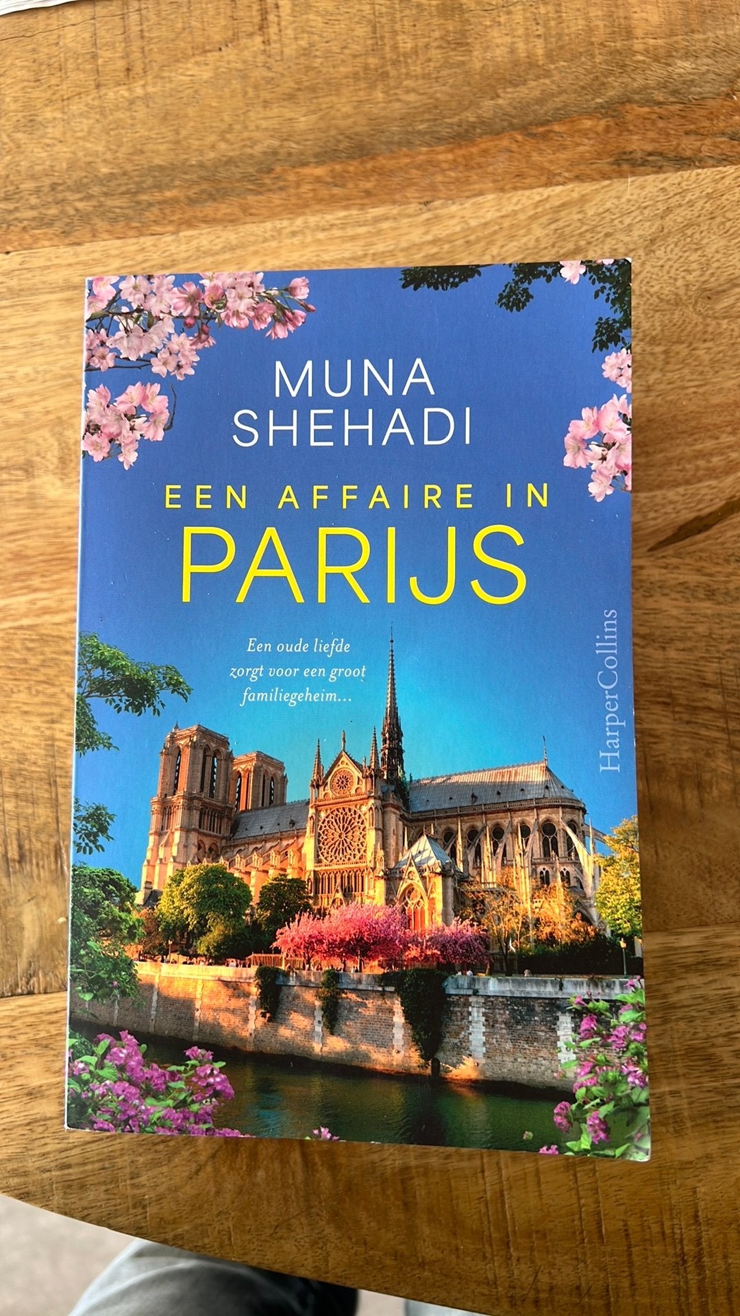 Muna Shehadi - Een affaire in Parijs, Ophalen of Verzenden, Zo goed als nieuw, Muna Shehadi