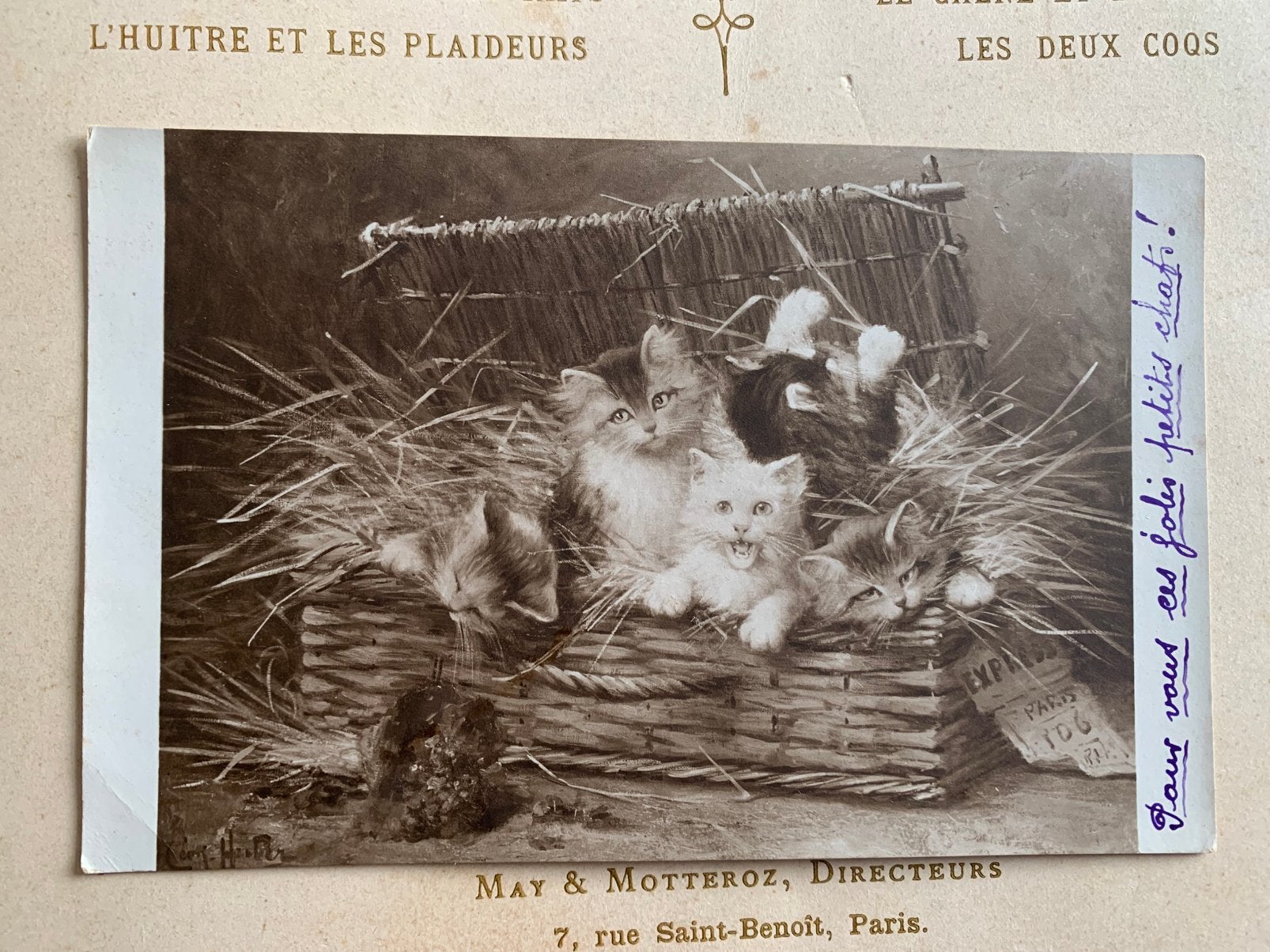 31-1-1920 Poesjes in een rieten mand (LI), Ophalen of Verzenden, Voor 1920, Gelopen, Hond of Kat