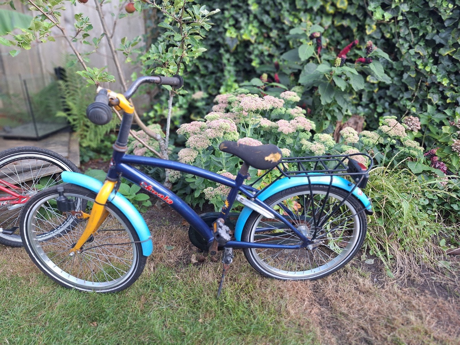Kinderfiets 20 inch - Blauw/Geel, Ophalen, Gebruikt, Terugtraprem, 20 inch of meer