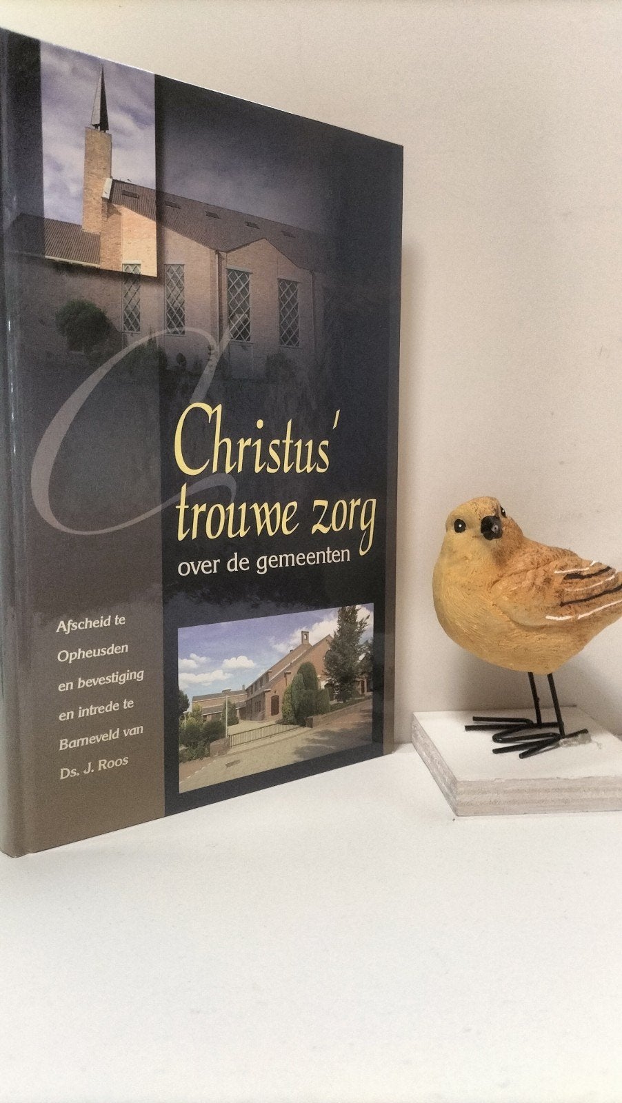 Roos, Ds. J.; Christus’ trouwe zorg, Ophalen of Verzenden, Gelezen, Christendom | Protestants