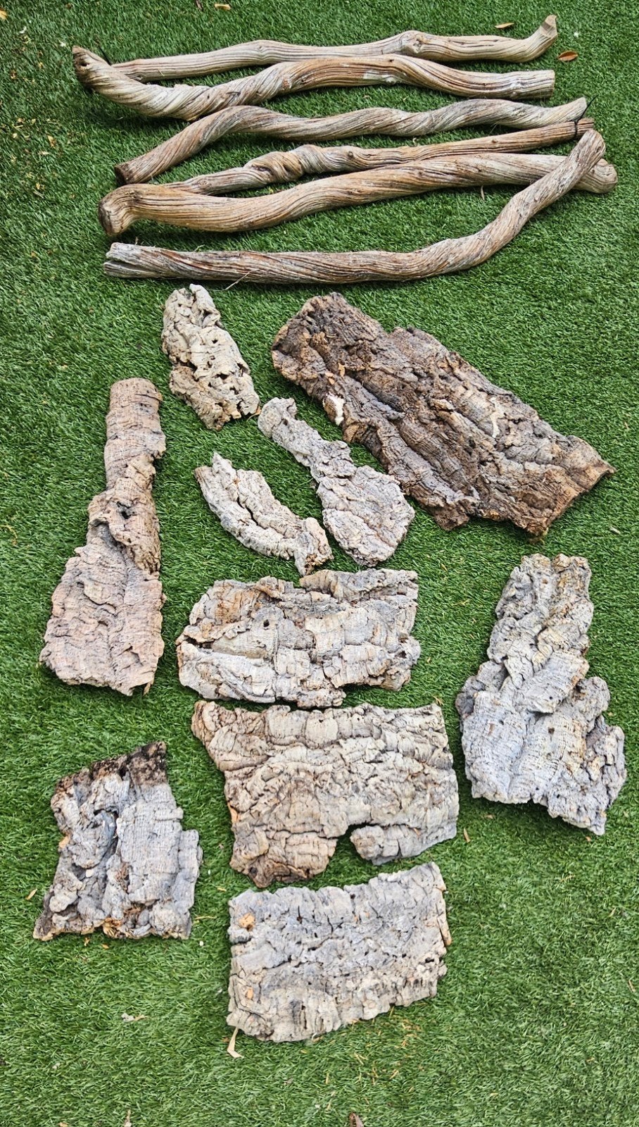 Diverse kurk en lianen., Ophalen
