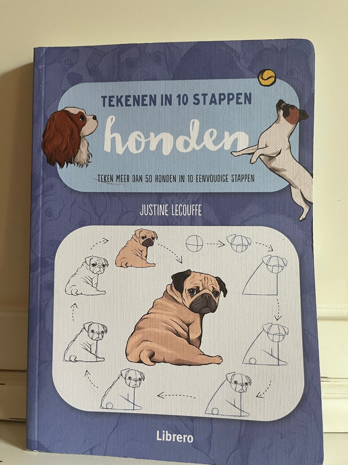Tekenboek: Tekenen in 10 stappen - Honden, Hobby en Vrije tijd, Tekenen, Ophalen of Verzenden, Zo goed als nieuw, Boek of Gids