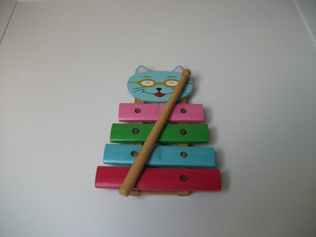 Xylofoon poes, Ophalen of Verzenden, Gebruikt