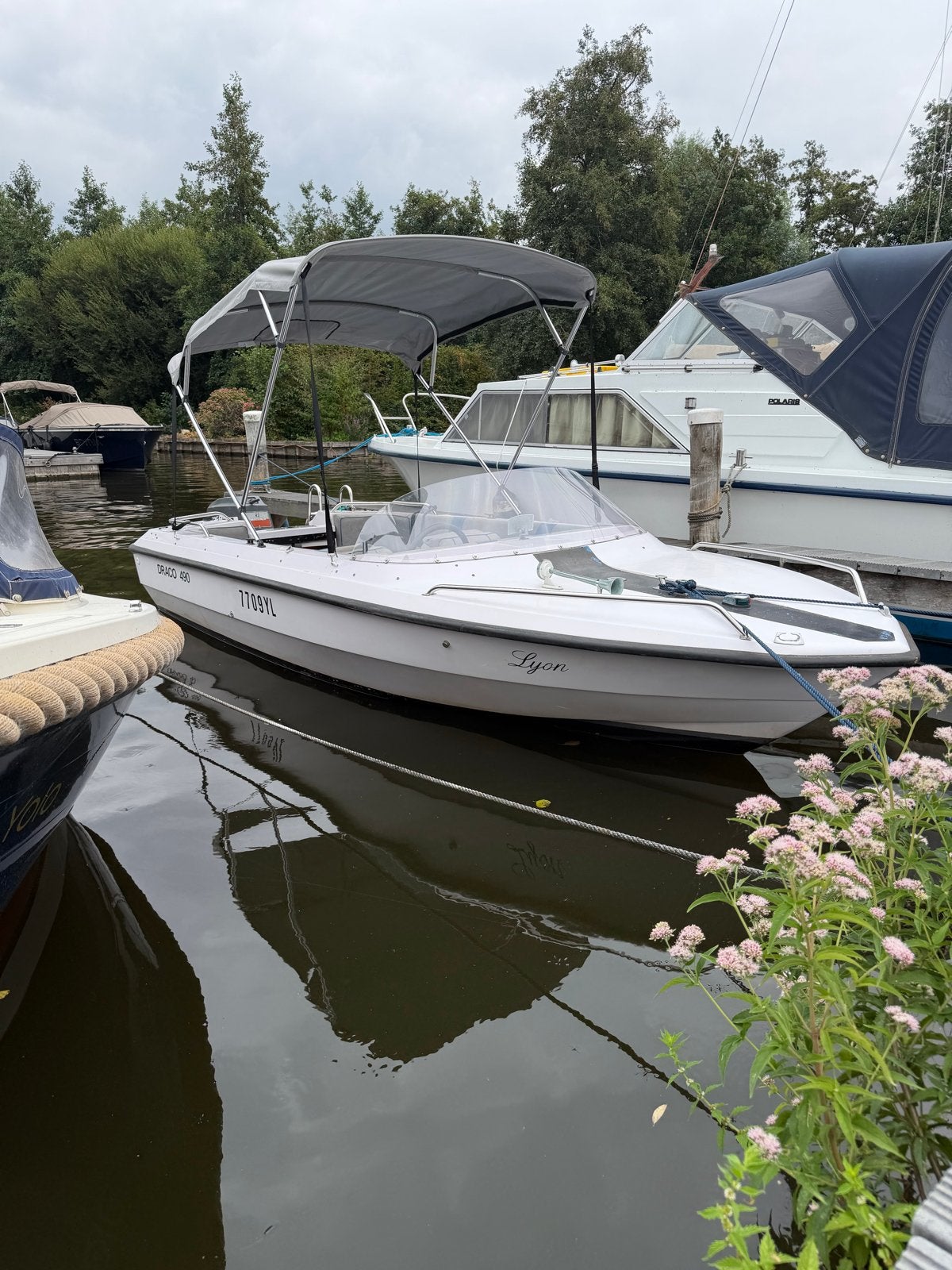 Draco 490 Sportboot met Mariner 40pk buitenboordmotor, Ophalen, Overige merken, Gebruikt, Minder dan 70 pk
