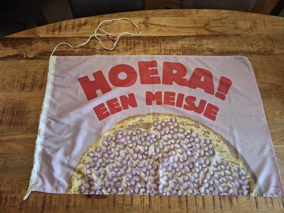 "HOERA een meisje " Vlag | Slinger | Vaandel | Babyshower, Ophalen, Gebruikt