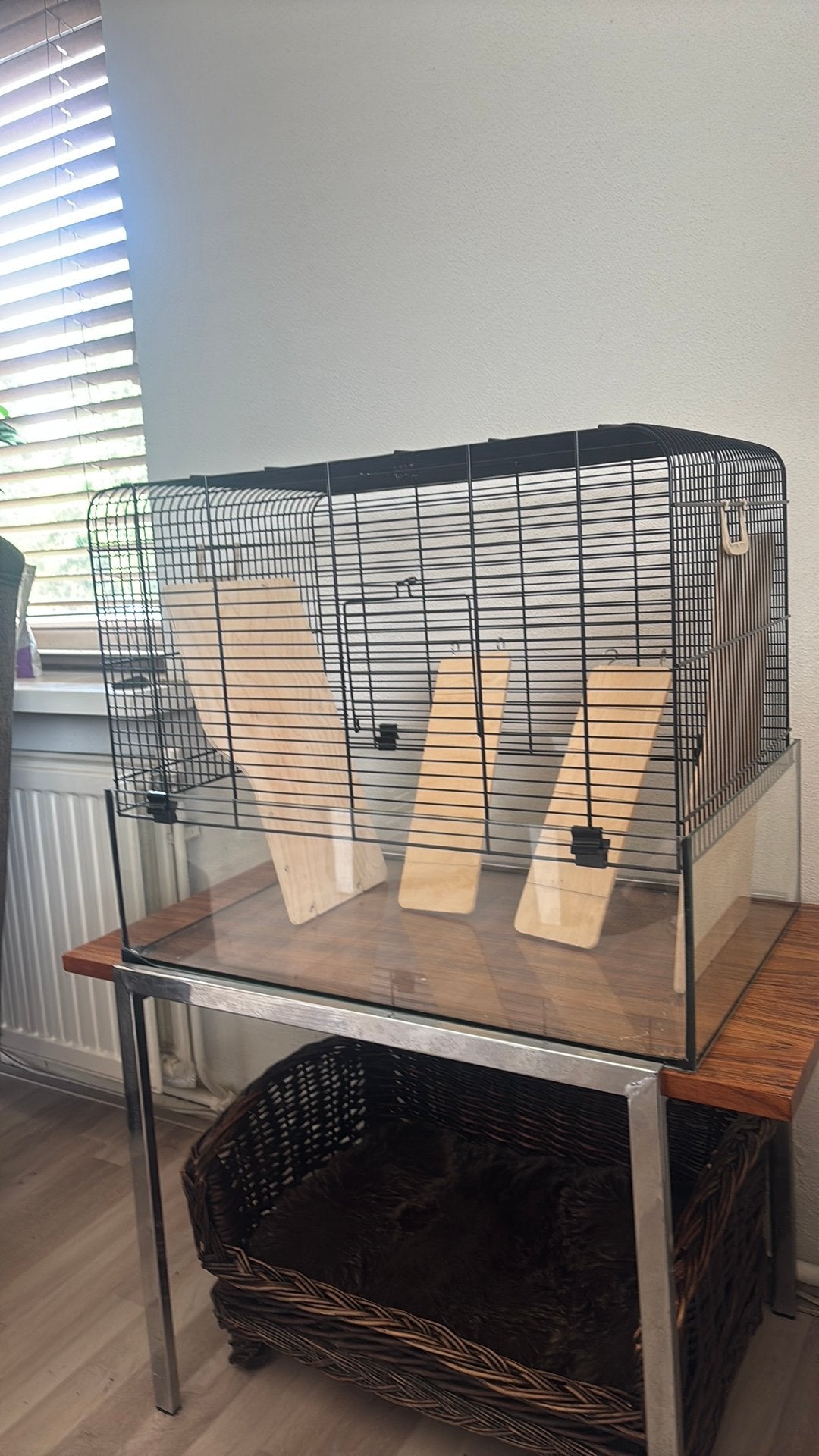 Mooie glazen knaagdierkooi met veel toebehoren, Dieren en Toebehoren, Kooi, Minder dan 75 cm, Zo goed als nieuw, Hamster