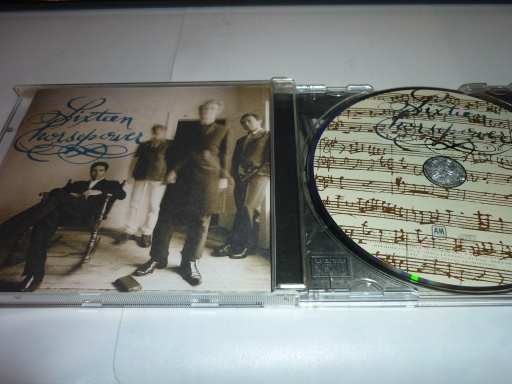 Sixteen Horsepower - love estate CD, Cd's en Dvd's, Cd's | Rock, Gebruikt, Ophalen of Verzenden, Alternative Rock, Inclusief doosje