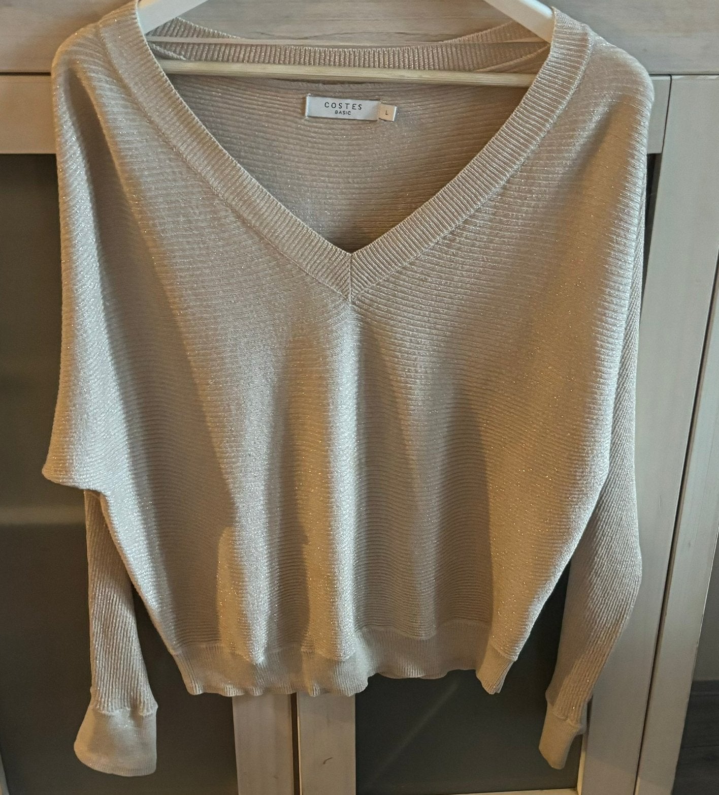 Nieuwe trui met V hals, Ophalen of Verzenden, Nieuw