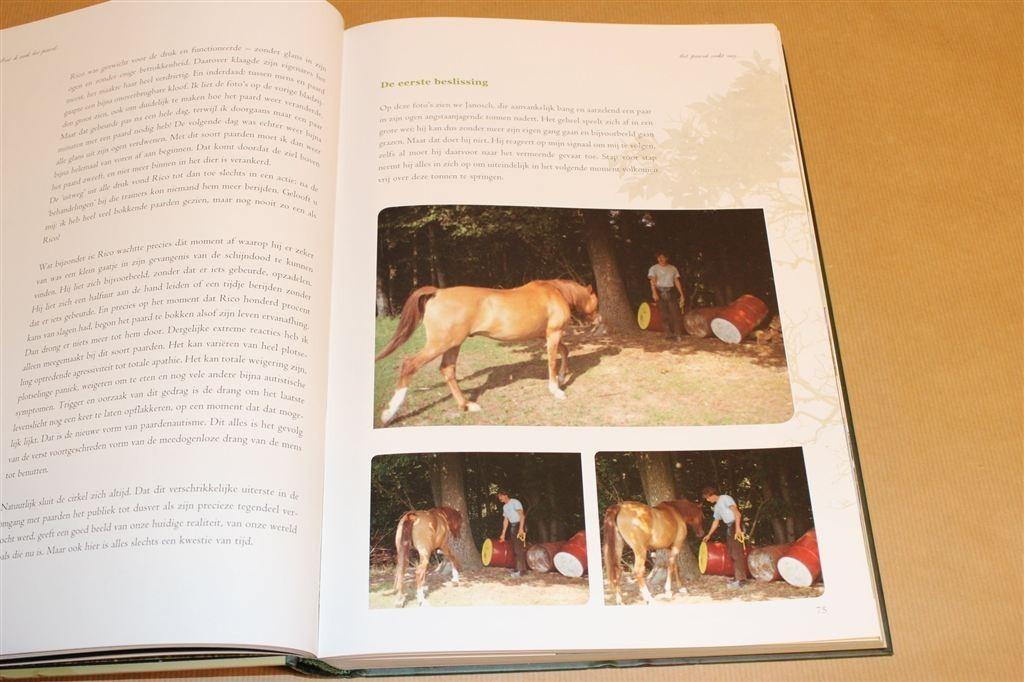 Niet ik zoek het paard, het paard zoekt mij — Hempfling, Ophalen of Verzenden, Zo goed als nieuw, Paarden of Pony's