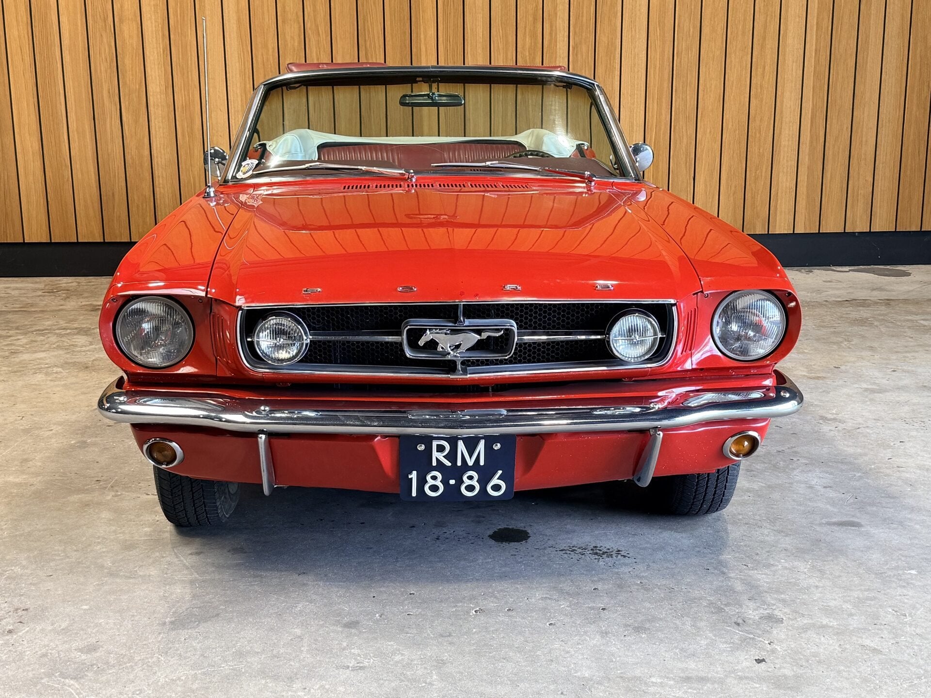 Ford Mustang Convertible 289 V8 Automaat. vvfffvf, foto 3