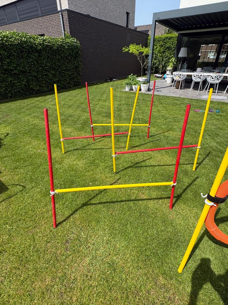 Agility set voor honden behendigheid, Dieren en Toebehoren, Ophalen, Gebruikt, Behendigheidspeelgoed