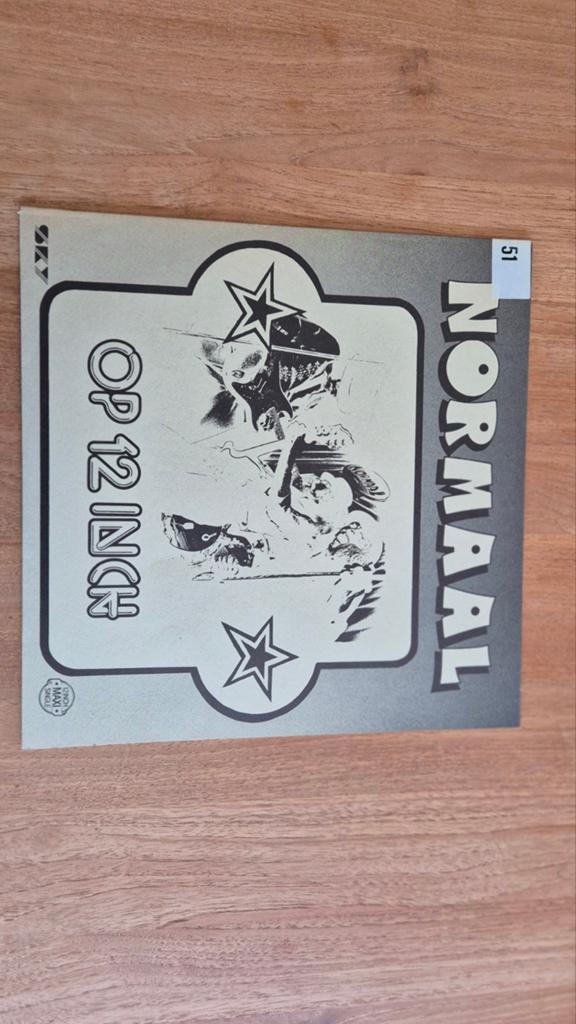 Normaal, lp, normaal op 12 inch, Ophalen of Verzenden, Gebruikt, 12 inch, Streekmuziek