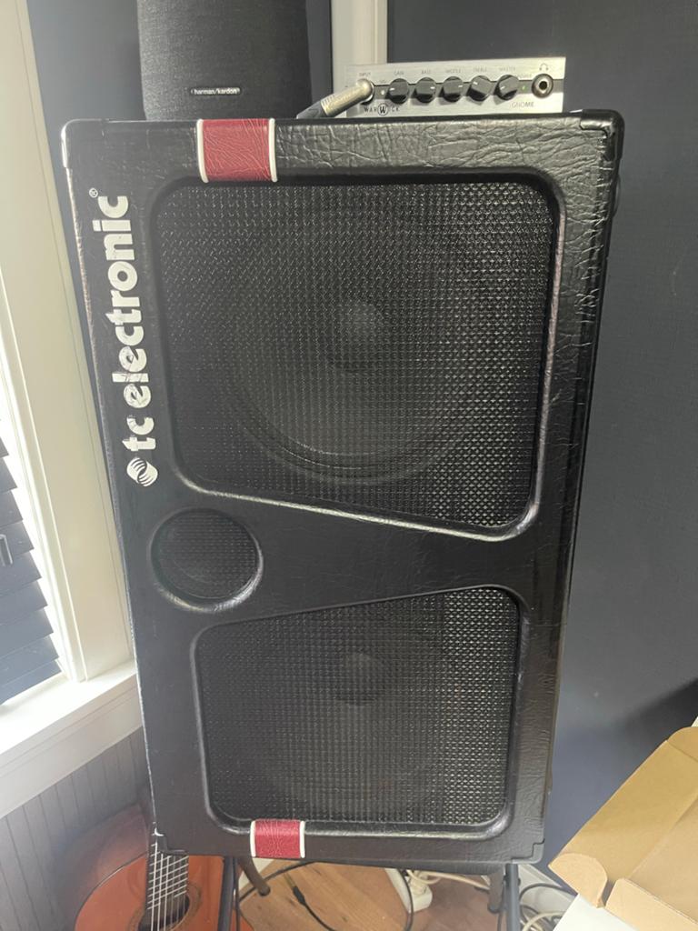 Warwick Gnome 200W basversterker met TC Electronic 2x10, Muziek en Instrumenten, Versterkers | Bas en Gitaar, Ophalen of Verzenden