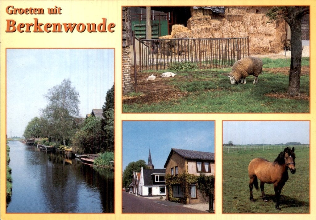 Berkenwoude - Collage - Landschap en dieren, Verzamelen, Ophalen of Verzenden, 1980 tot heden, Ongelopen, Zuid-Holland