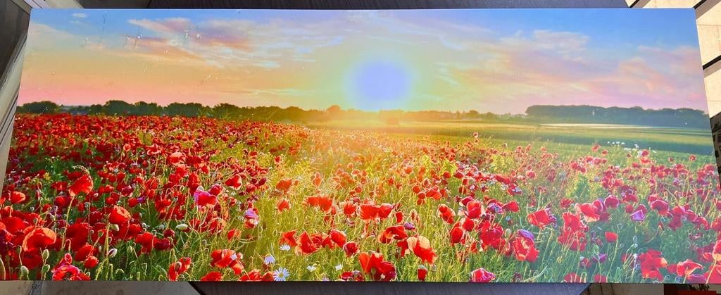 Lijst 40 x 100 cm zonsondergang in bloemenveld, Ophalen, Schilderij, 75 cm of meer