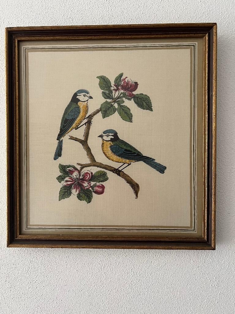 6 ingelijste vogelprenten, Ophalen of Verzenden
