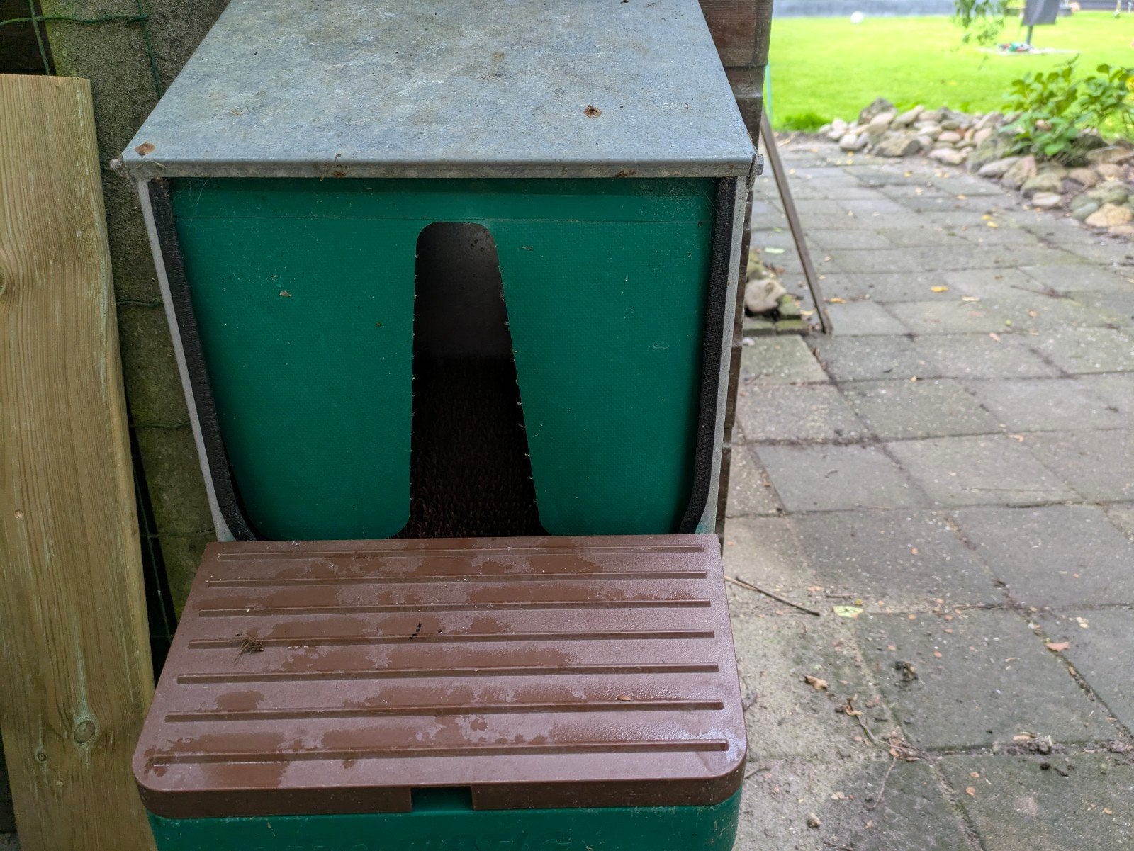 Twee stuks enkele legbakken kippen, Dieren en Toebehoren, Pluimvee, Vrouwelijk, Kip
