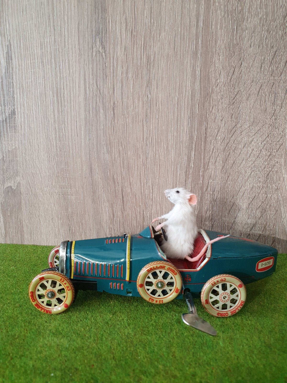 Opgezette muis in raceauto  taxidermie curiosa, Ophalen of Verzenden, Nieuw, Opgezet dier