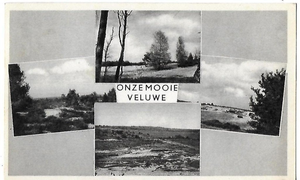 Onze mooie veluwe gelopen ansichtkaart ( b265), Ophalen of Verzenden, 1920 tot 1940, Gelopen, Gelderland
