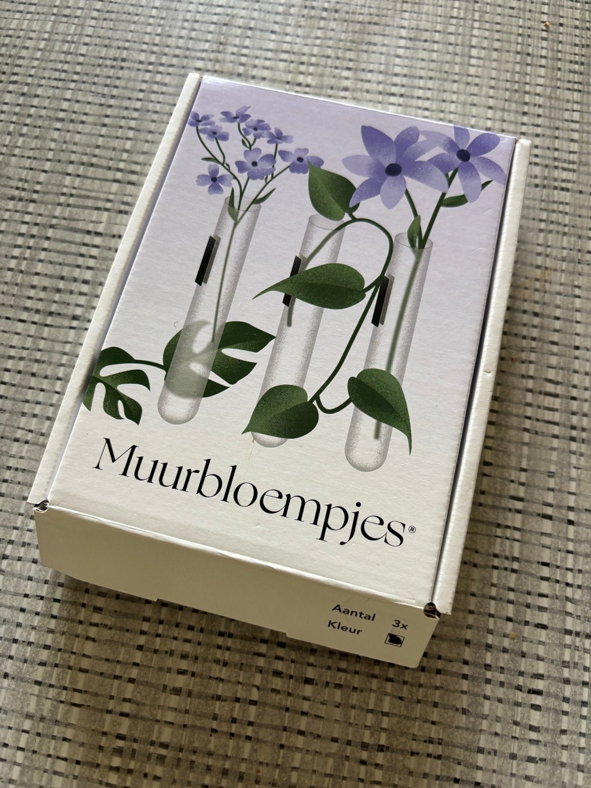 Muurbloempjes - Set van 3 vaasjes voor aan de muur, Huis en Inrichting, Woonaccessoires | Vazen, Overige materialen, Zwart, Nieuw