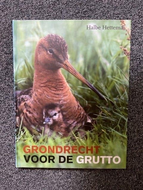 Grondrecht voor de Grutto boek van Halbe Hettema, Halbe Hettema, Ophalen of Verzenden, Zo goed als nieuw, Vogels