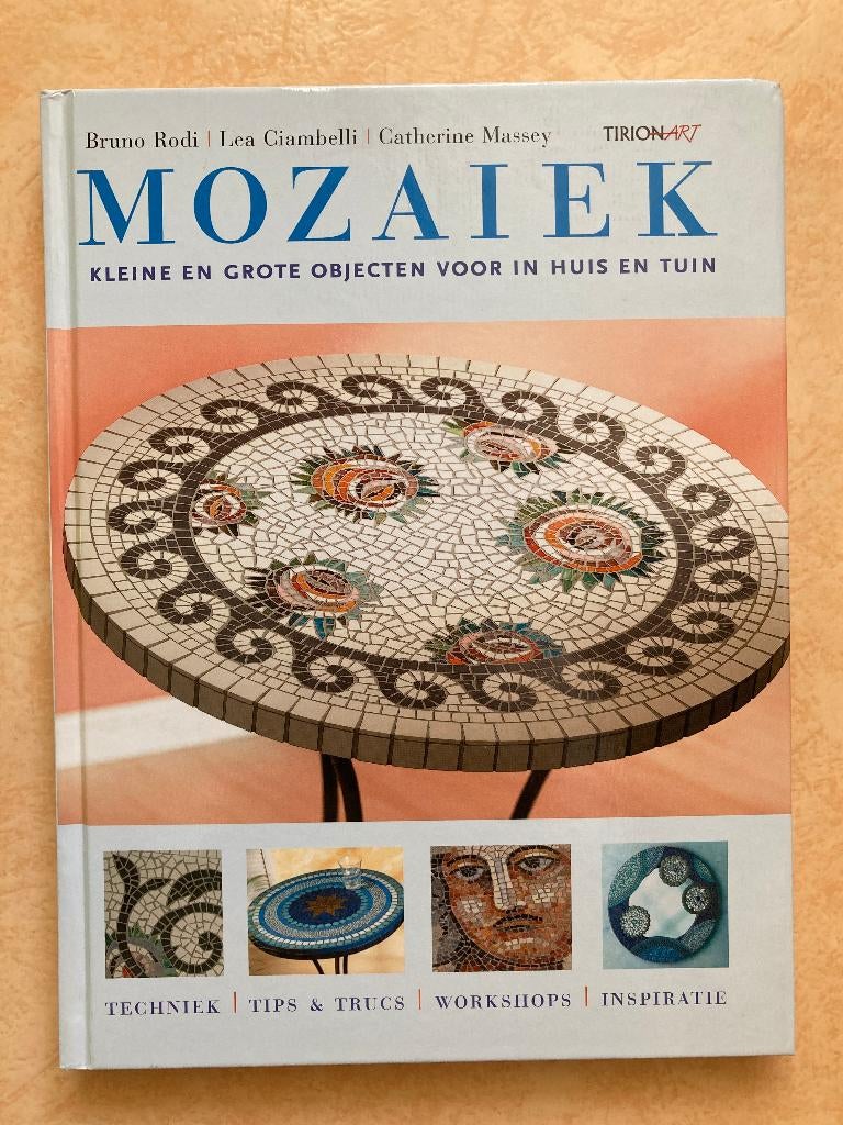 Boek Mozaïek - Bruno Rodi nieuw, Boeken, Ophalen of Verzenden, Nieuw, Overige onderwerpen