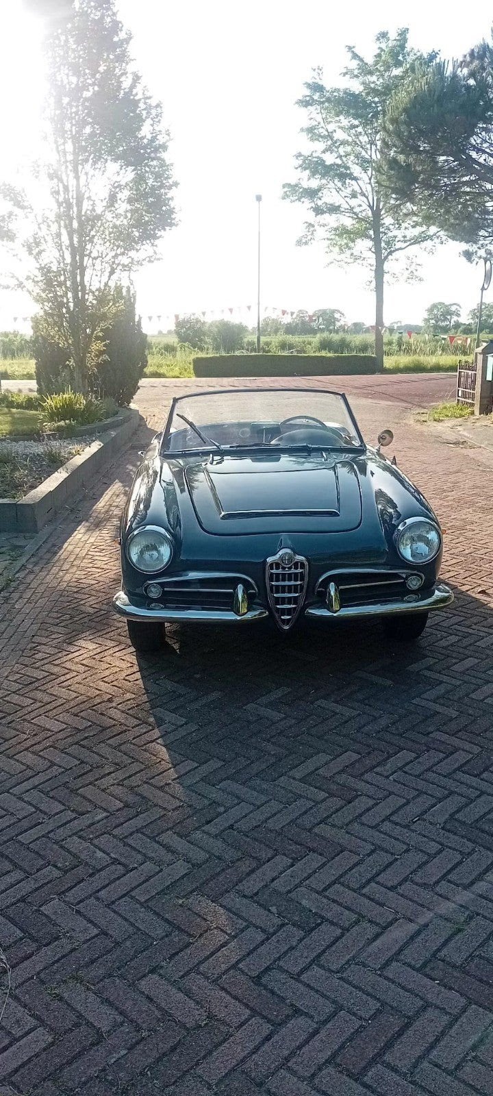 Alfa Romeo Giulia spider 1600 1962 Grijs incl. hardtop, foto 3