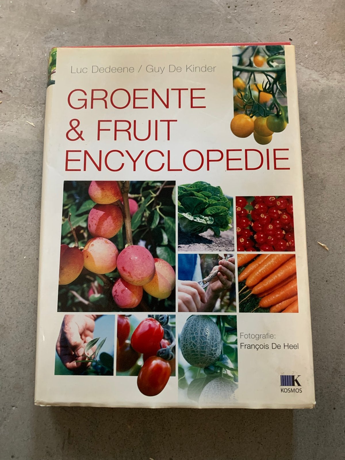 Groente & Fruit Encyclopedie - Luc Dedeene / Guy De Kinder, Boeken, Ophalen of Verzenden, Gelezen, Bloemen en Planten, Los deel