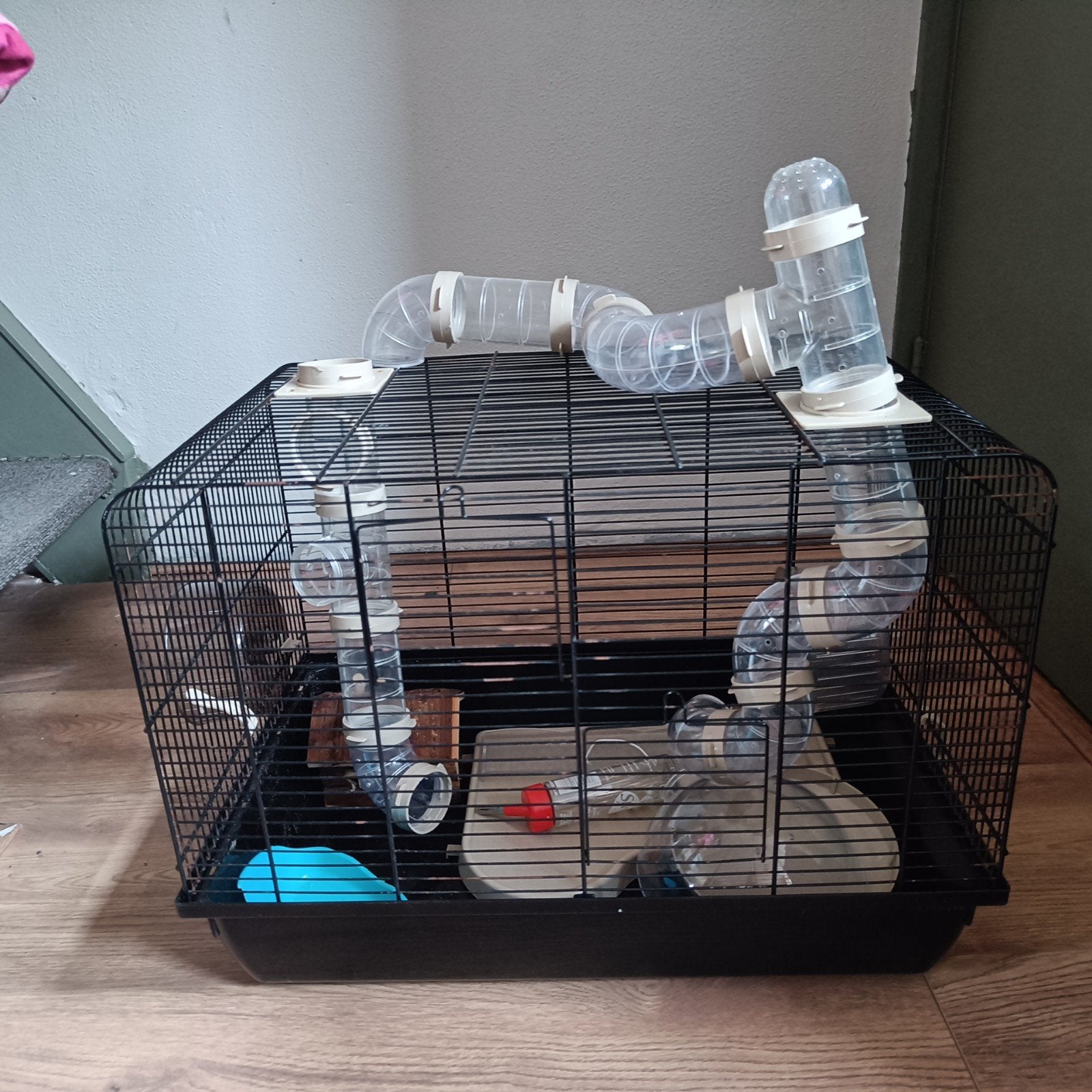 Gratis hamsterkooi, Dieren en Toebehoren, Knaagdieren en Konijnen | Hokken en Kooien, Kooi, Gebruikt, Minder dan 75 cm, Muis