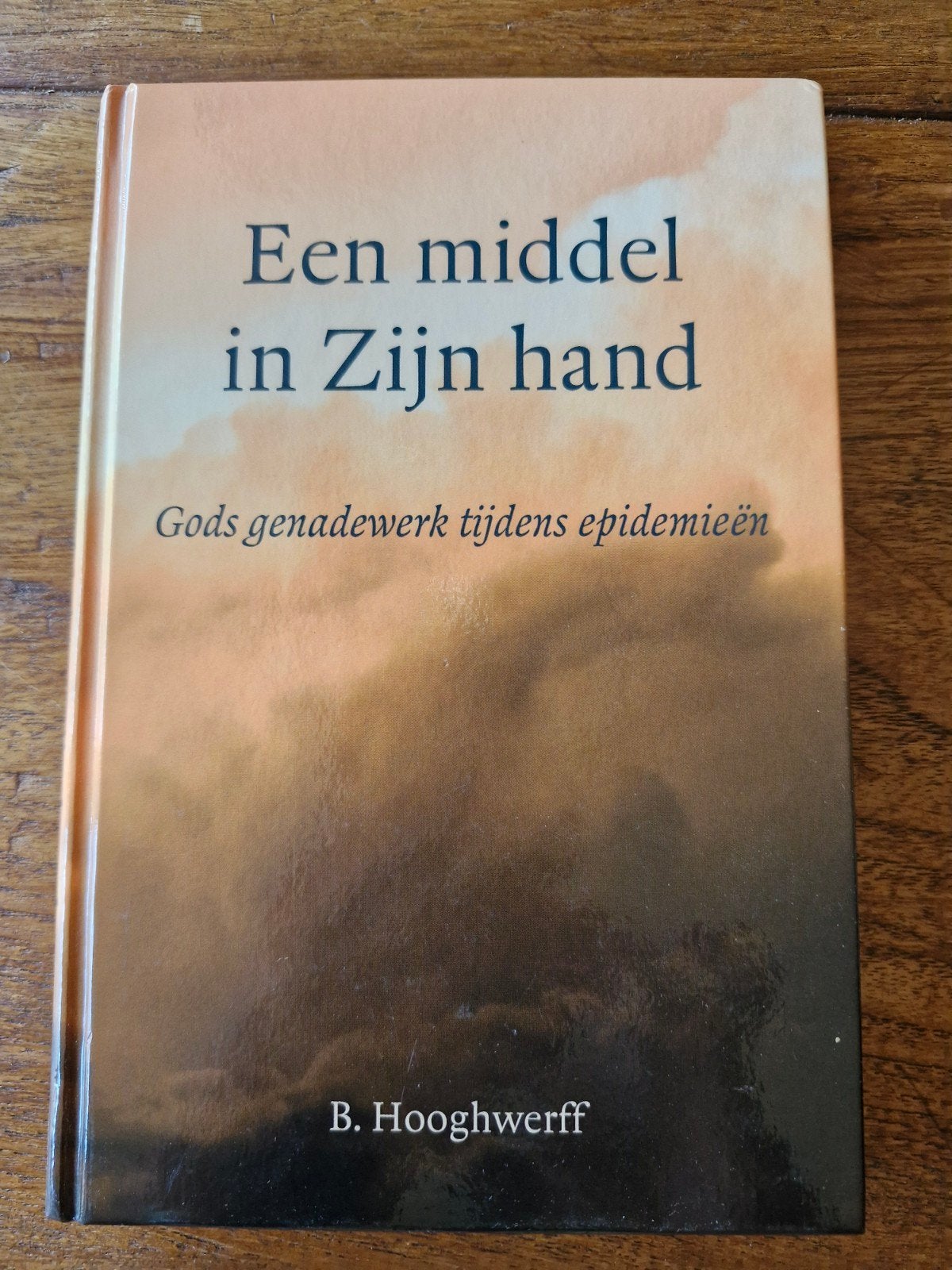 Een middel in Zijn hand - Gods genadewerk tijdens epidemieën, Ophalen of Verzenden, Nieuw, Christendom | Protestants