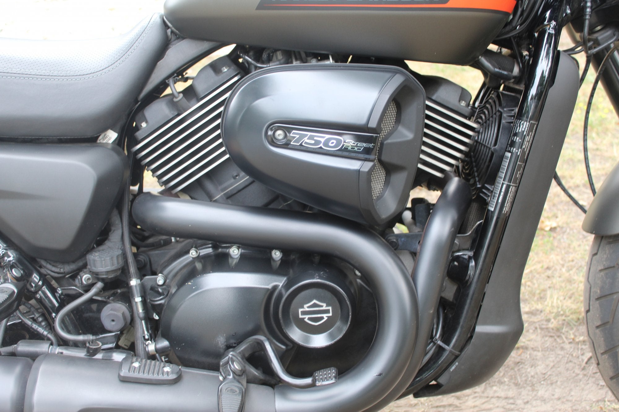 Harley-Davidson Street 750 Street Rod, Motoren, Motoren | Harley-Davidson, Chopper, Bedrijf, 749 cc, Meer dan 35 kW